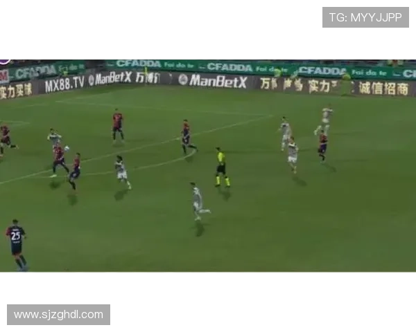 重庆羽毛球队在世界杯预选赛中的个人能力分析与表现点评